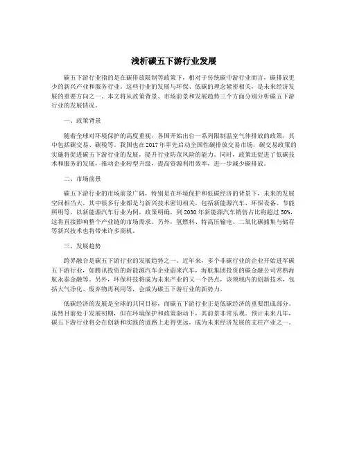 浅析碳五下游行业发展