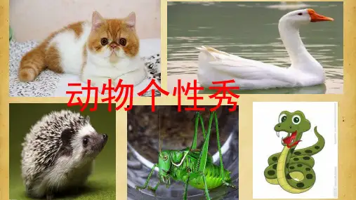 群文阅读动物个性秀优秀课件