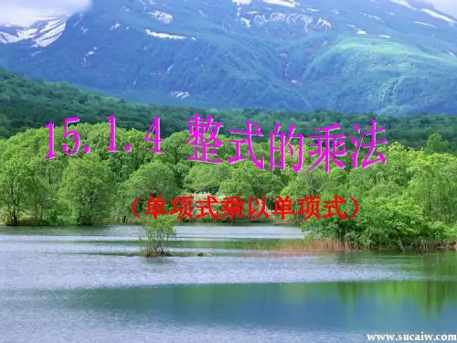 初中数学_整式的乘法第四课时教学课件设计