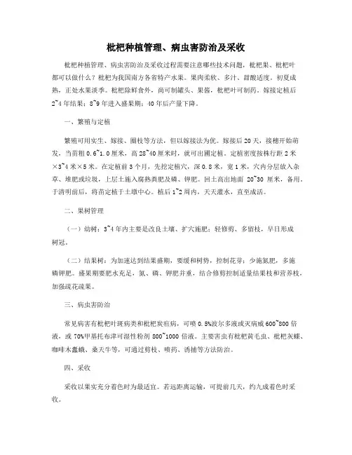 枇杷种植管理、病虫害防治及采收