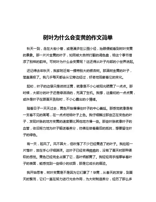 树叶为什么会变黄的作文简单