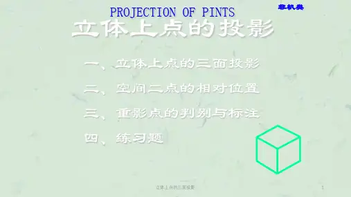 立体上点的三面投影课件