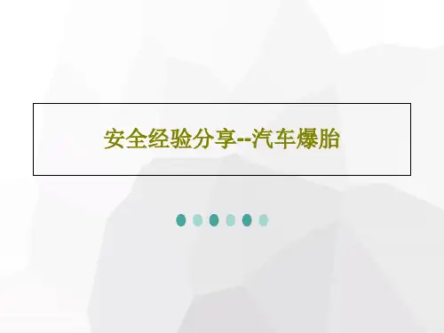 安全经验分享--汽车爆胎共20页文档