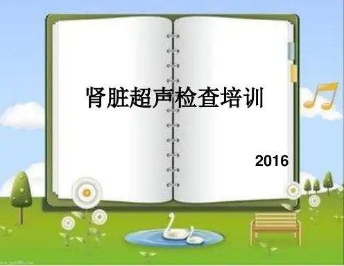 肾脏的超声检查