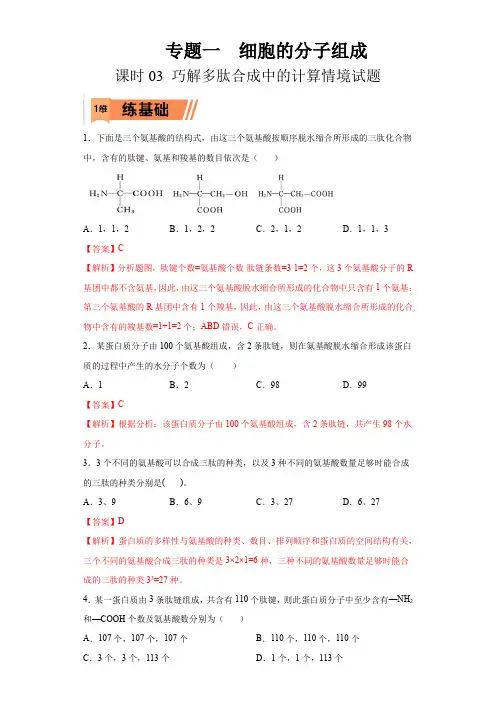 课时03 巧解多肽合成中的计算情境试题-2023年高考生物一轮复习小题多维练(解析版)