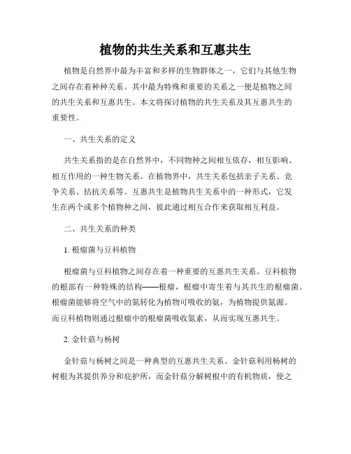 植物的共生关系和互惠共生