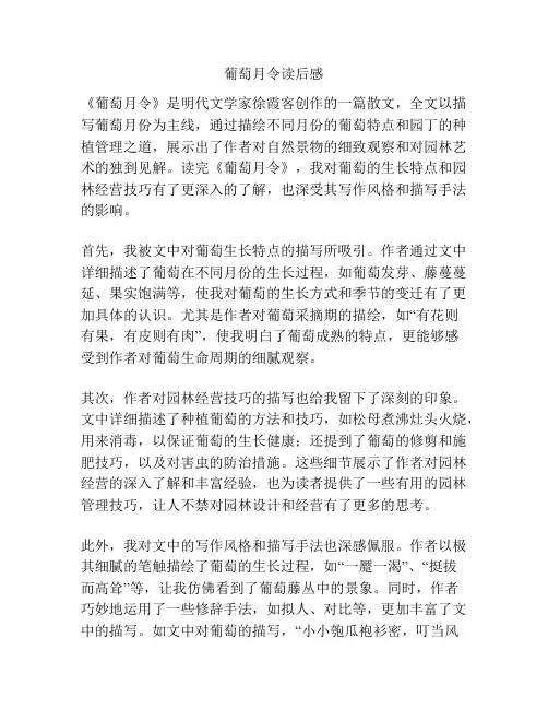 葡萄月令读后感
