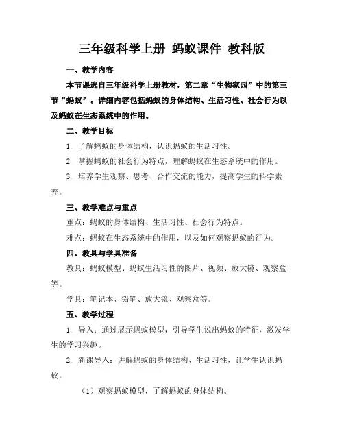 三年级科学上册蚂蚁课件教科版