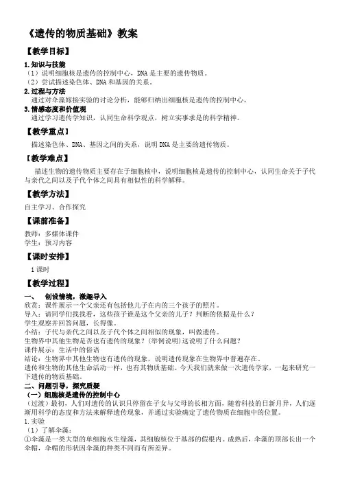 初中生物济南版八年级上册(2023年新编) 生物的遗传和变异遗传的物质基础教案