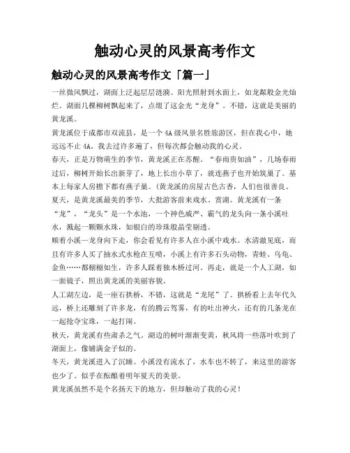 触动心灵的风景高考作文