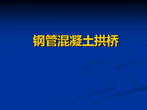 钢管混凝土拱桥