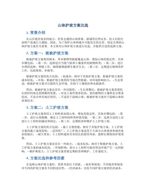 山体护坡方案比选