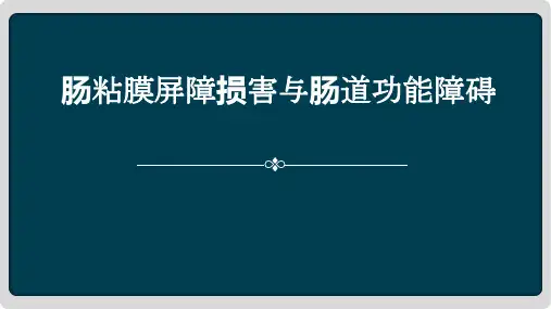 肠黏膜屏障损害与肠道功能障碍