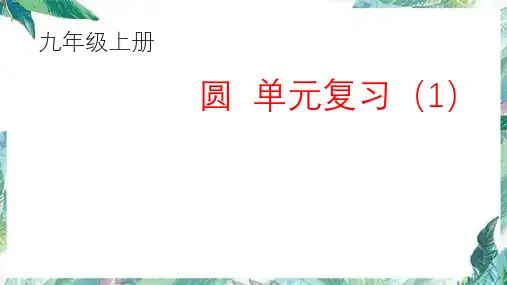 九年级上册24圆复习(共17张PPT)