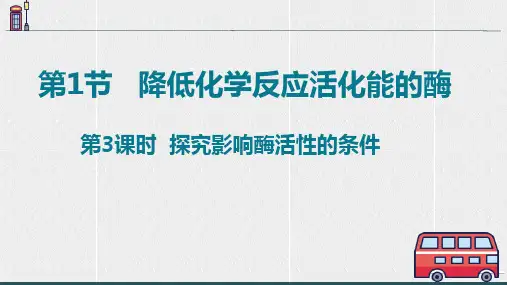 5.1.3 探究影响酶活性的条件高一上学期生物人教版必修一