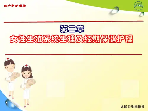 第二章  女性生殖系统生理及经期保健护理