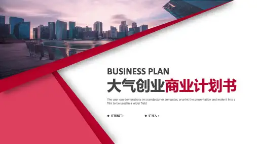 创新创业大赛路演PPT模板 (24)