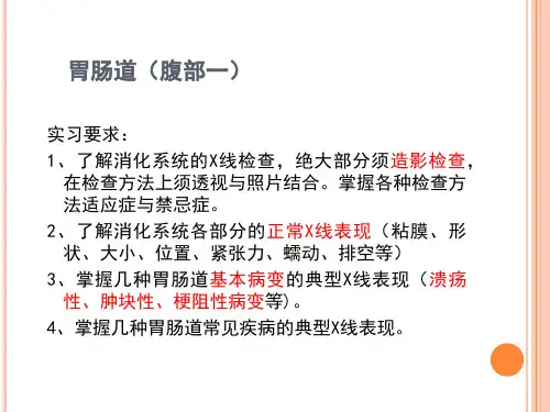 医学影像学-五年制见习课课件：见习腹部一2