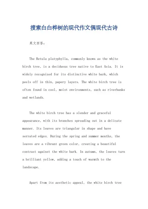 搜索白白桦树的现代作文偶现代古诗