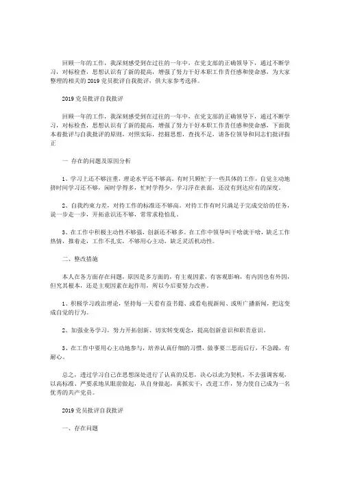 最新2019党员批评自我批评