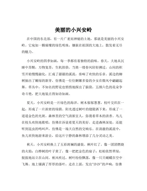 美丽的小兴安岭