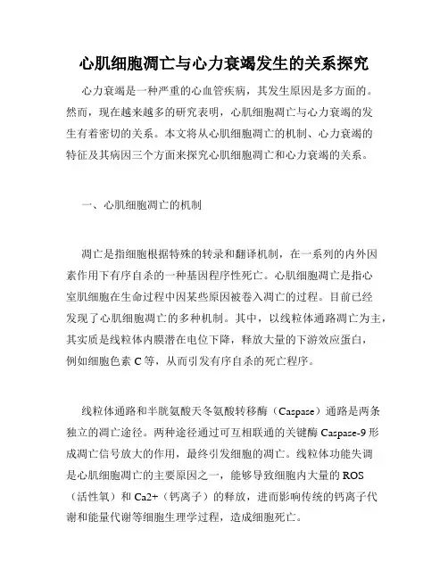 心肌细胞凋亡与心力衰竭发生的关系探究