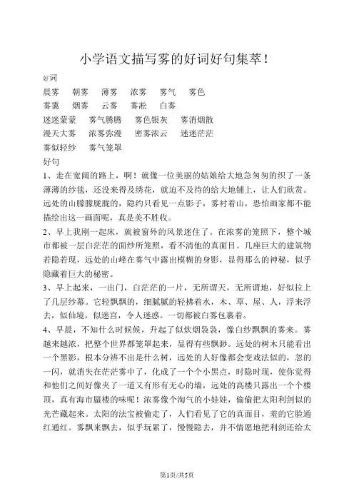 小学语文作文素材描写雾的好词好句集萃  全国通用