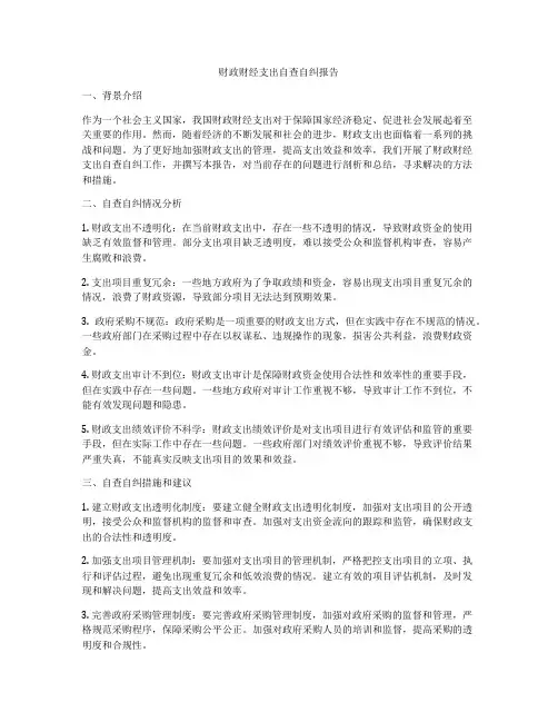 财政财经支出自查自纠报告