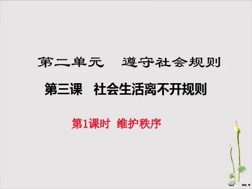 《维护秩序》PPT教学课件-部编版道德与法治