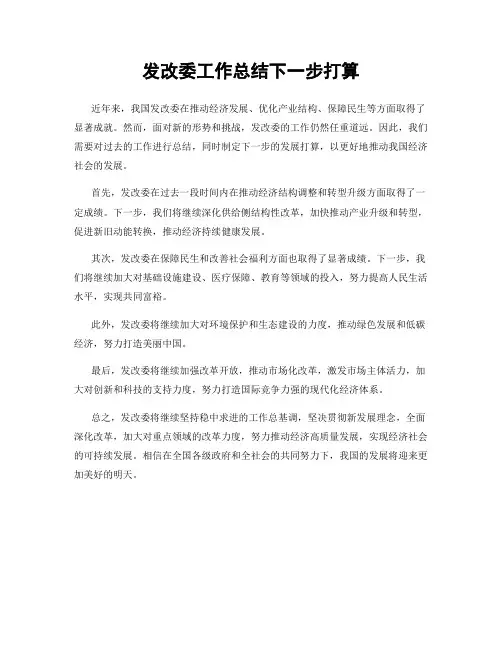 发改委工作总结下一步打算