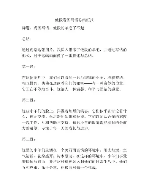 低段看图写话总结汇报