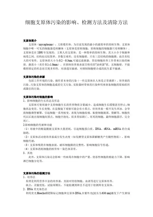 细胞支原体污染的影响、检测方法及清除方法