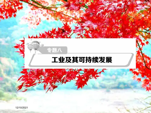 高考地理二轮复习 细致讲解专题八 工业及其可持续发展课件