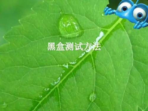 软件测试黑盒测试方法PPT课件