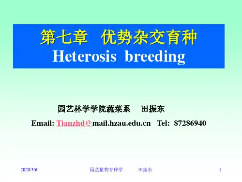08 第八章杂种优势的利用-2