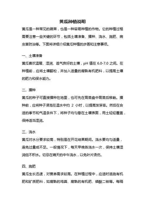 黄瓜种植说明