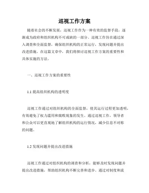 巡视工作方案