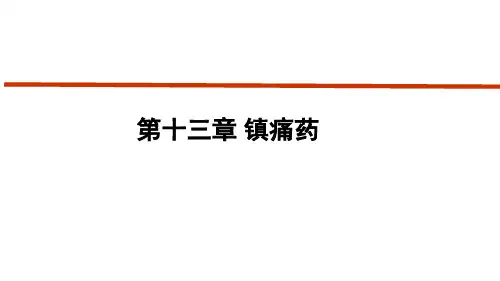 第十三章 镇痛类药物