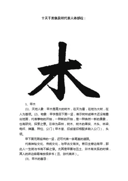 十天干类象及所代表人体部位：