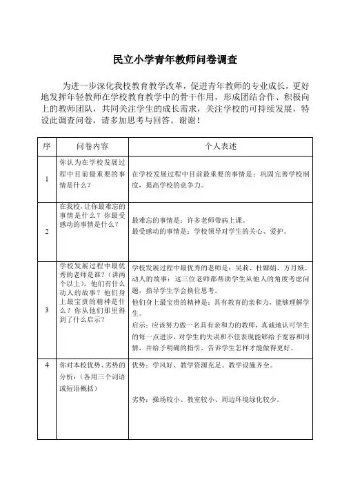 青年教师问卷调查