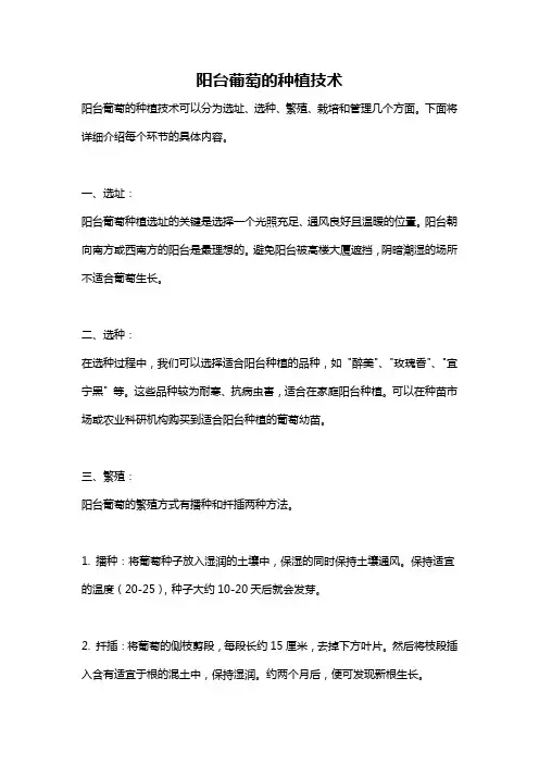 阳台葡萄的种植技术