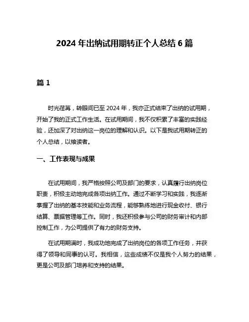 2024年出纳试用期转正个人总结6篇