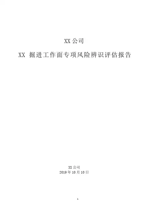 掘进工作面专项风险辨识评估报告范本