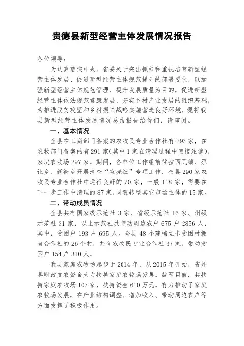 新型经营主体发展情况报告