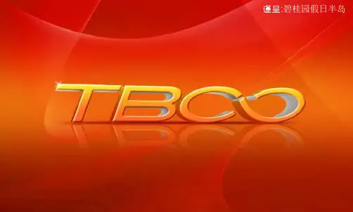 (广州别墅)碧桂园假日半岛整合传播策略