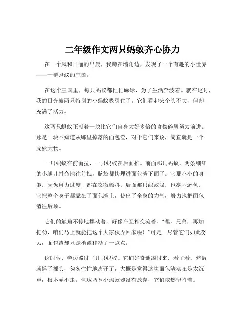 二年级作文两只蚂蚁齐心协力