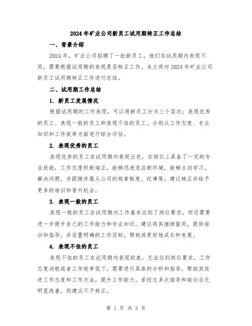 2024年矿业公司新员工试用期转正工作总结