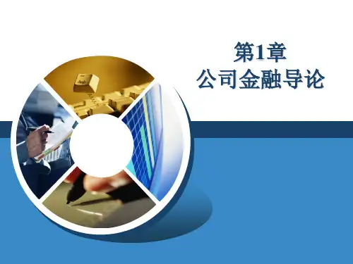 第1章  公司金融导论  《公司金融》PPT课件