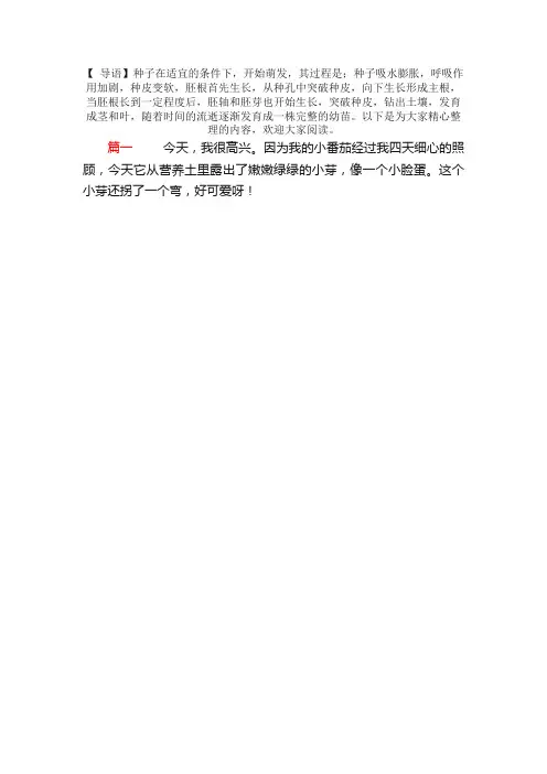观察种子发芽的日记100字6篇