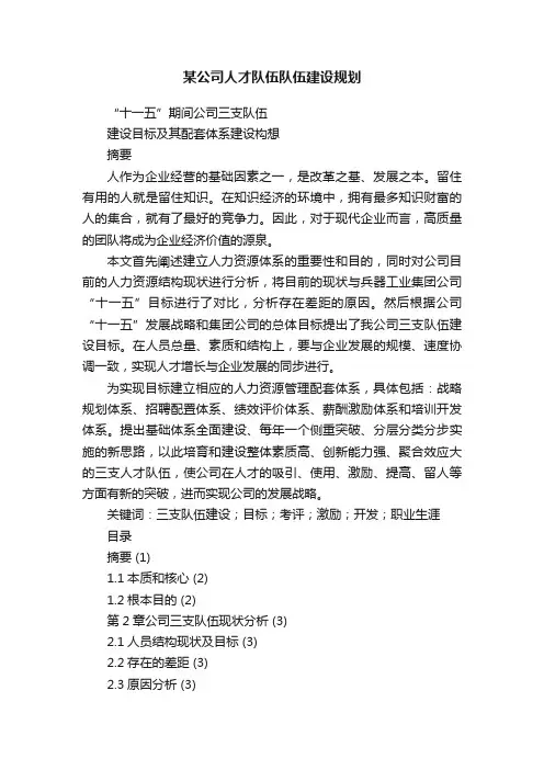某公司人才队伍队伍建设规划